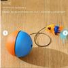 Automatic Rolling Cat Toy Interactive Chase Ball with No Batteries Needed, Motion-Activated Moving Teaser Ball