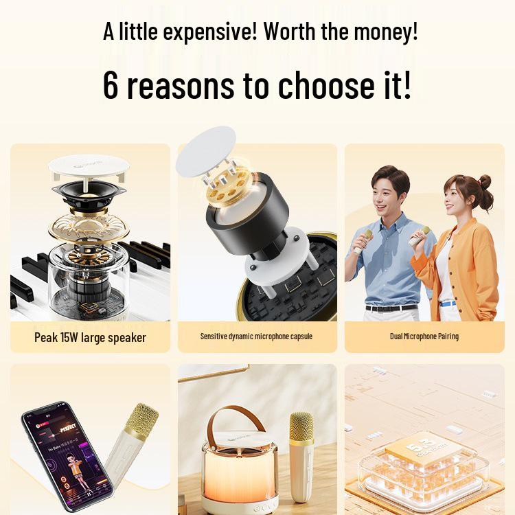 Free Shipping MZ31 Bluetooth Dual Microphone Speaker for Home KTV and Outdoor Use