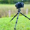 AOKA Carbon Mini Tripod (Mini CMP163C)