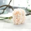 5Pcs Fake Peony Eco-friendly Multipurpose Immortal Beautiful Artificial Cloth Flower for Wedding