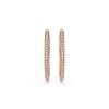 Dextera Rose Gold Hoop Earrings L 5383938