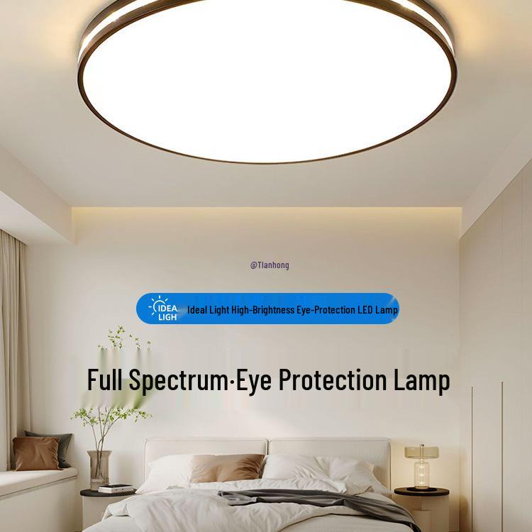 Modern Minimalist Ceiling Light for Bedroom, Living Room, Dining Room, or Balcony