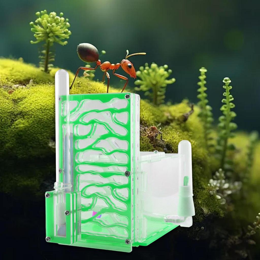 Compact DIY Moisture Nest Box for Science Observation Living Room Home Kitchen