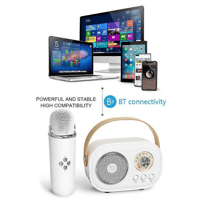Kinder Karaoke Maschine mit Mikrofon, Tragbarer Bluetooth Lautsprecher Kabelloser Subwoofer für Kinder Geburtstag Weihnachtsgeschenk