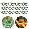 Flower and Vine Clips for Climbing Plants