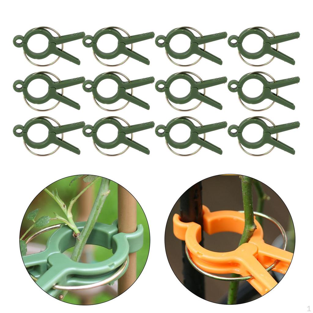 Flower and Vine Clips for Climbing Plants