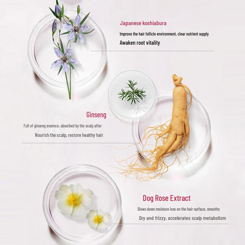 Die Yin Japanese Anti-Breakage & Shine Shampoo