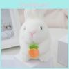 Adorable Plush Electric Bunny Realistic Walking Talking Ear-wiggling Long Fur Toy
