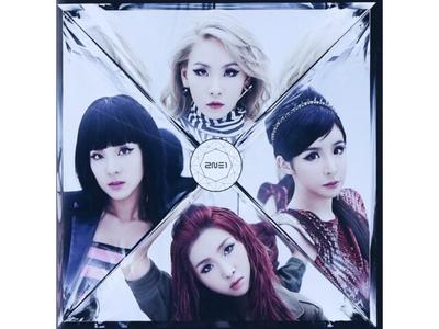 CRUSH (CD+DVD) -2NE1 AVCY-58238 Limited Edition K-Pop Girls Unit Japan Album NEW