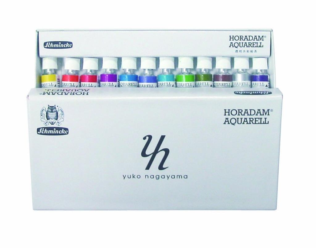 Schmincke Horadam tube special selection 12 colors set Yuko Nagayama DVD set