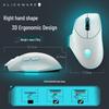 Periferice pentru calculatoare – Mouse-uri