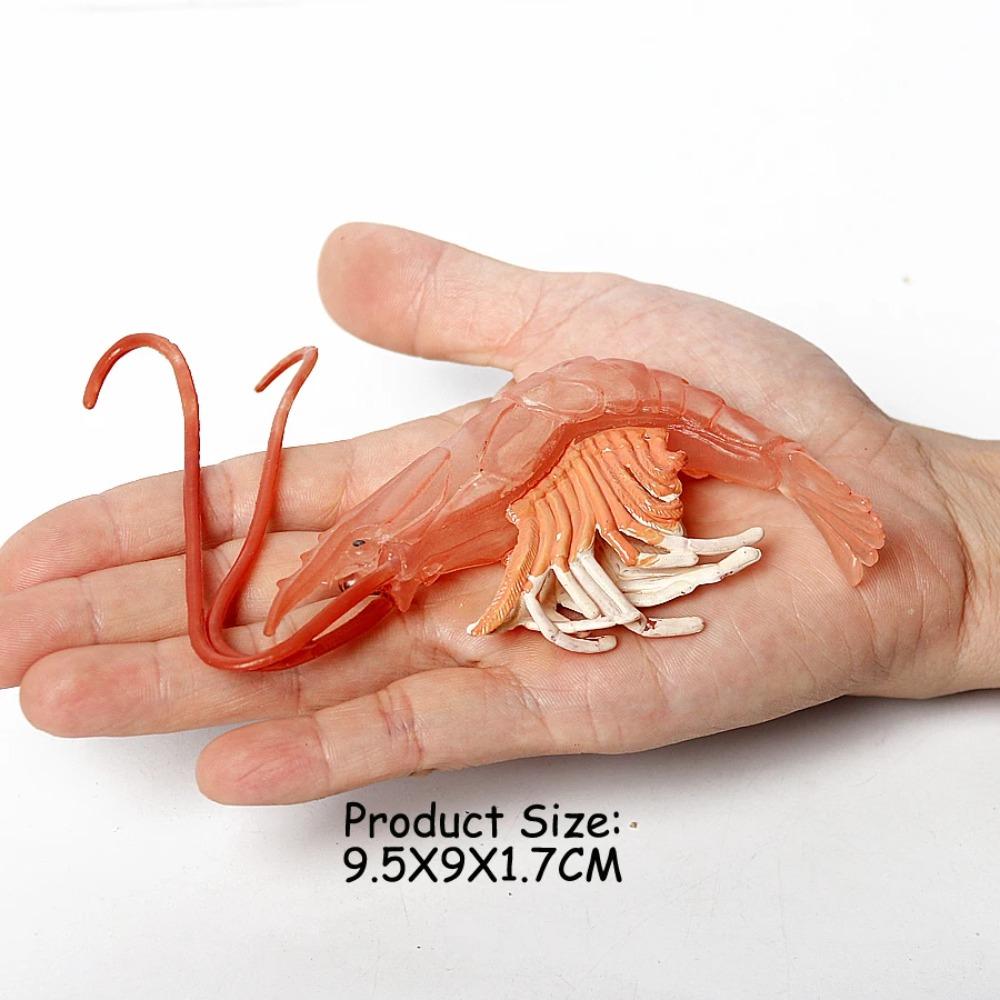 Realistic Prehistoric Sea Creatures Animal Figurines Baculite,Opabinia,Crab,Mantis Shrimp Educational Marine Animal Mode Figures