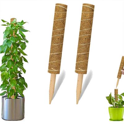 Plant Moss Pole Trellis For Potted Plants Gardening Supplies Durable Wooden Garden Tool Stackable Coconut Palm Stick