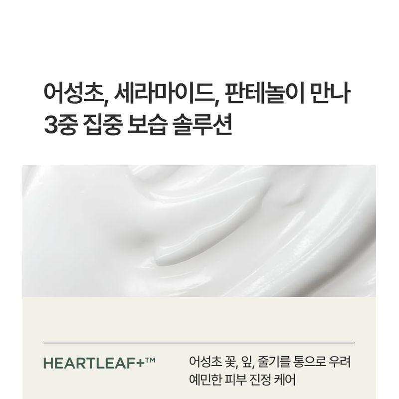 Anua Heartleaf Cream Mask Night Solution Mask