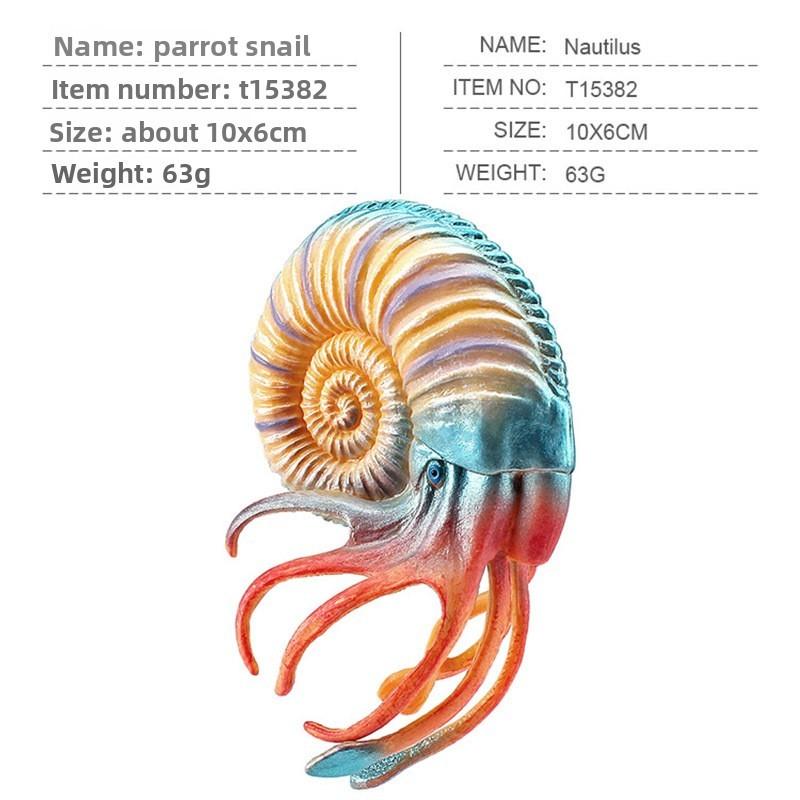 Static Marine Creature Models Pvc Set With Shells And Crabs For Childrens Education Nautilus 3