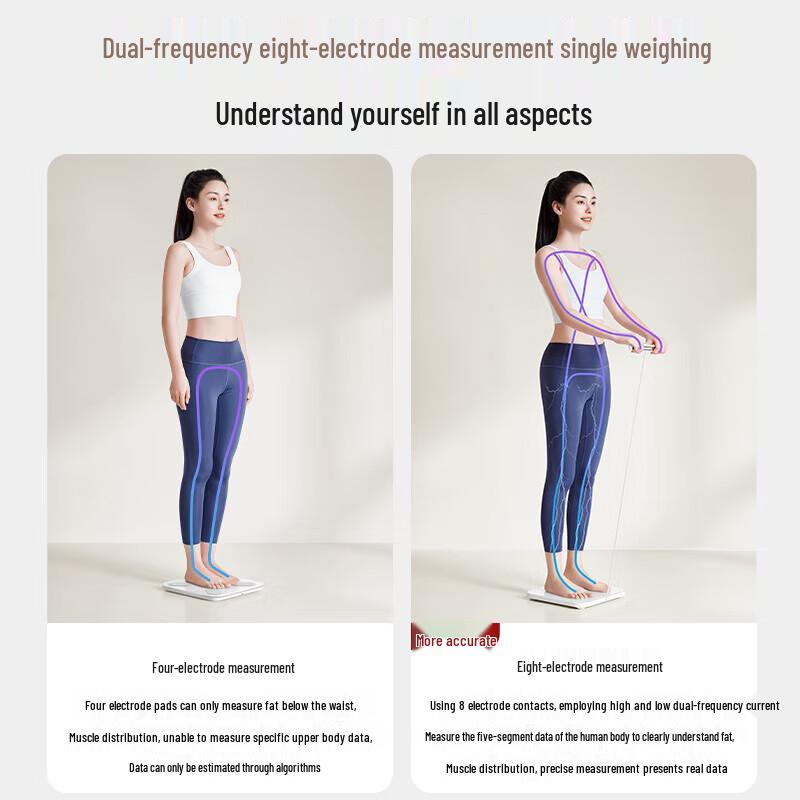 Midea Smart Body Fat Scale