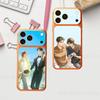 Huse pentru telefoane – Huse tip bumper pentru telefon