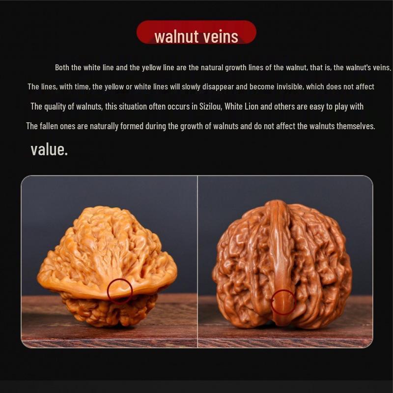 Old Tree High Toss Handcrafted Wenwan Lion Play Walnuts - Fine Pair of Four-Hand String for Men.