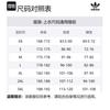 Adidas Originals CITY SKATE Jackets & Coats Men's Strata Olive Green/Dark Green JC6842