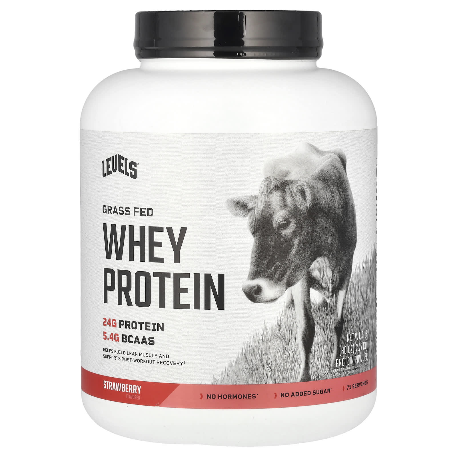 

Grass-Fed Whey Protein Powder, Strawberry, 2.27Kg (5Lb)