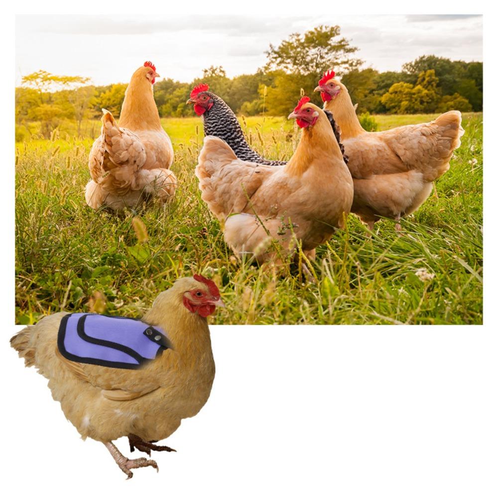 Keep Warm Adjustable Strap Chicken Saddles 600D Wings Fixed Hen Apron Back Cover Durable Poultry Feather Protector Garden