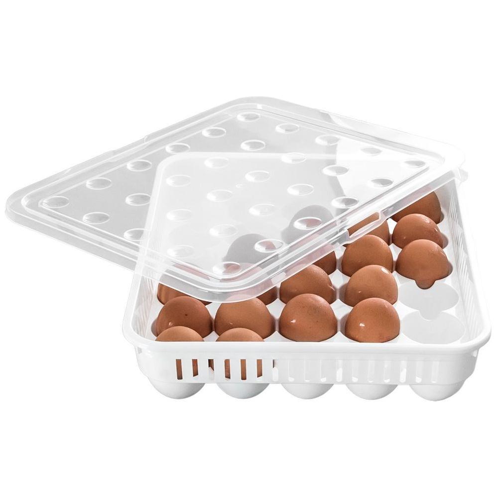 Egg container for 30 eggs