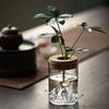 Transparent Flower Vase Glass Mountain Viewing Bottle Hydroponic Flower Holder  Office