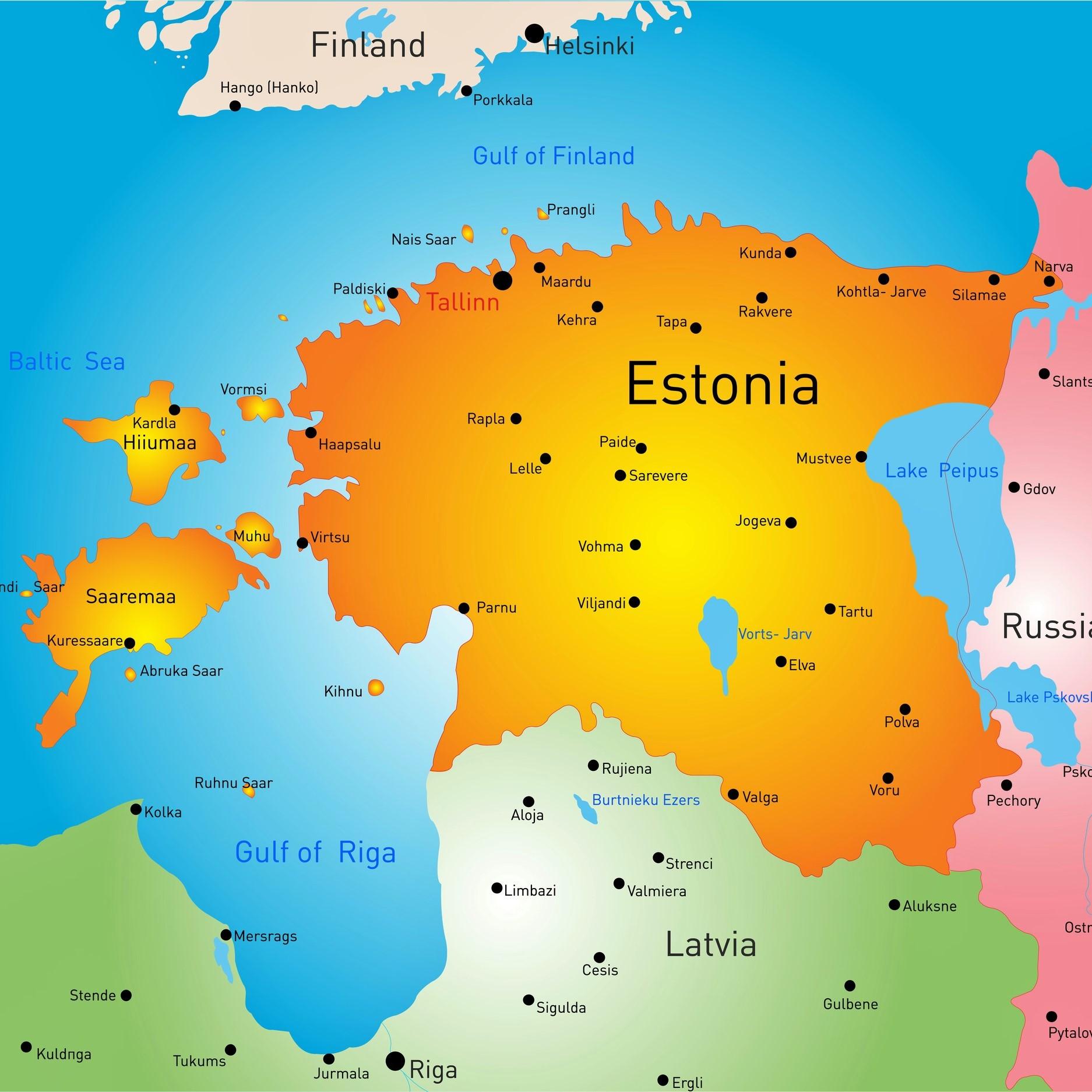 Эстония Эстонский солдат Армия Ветеран Флаг ММА Кикбоксинг UFC Муай Тай Футболка — фото 7