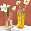 Modern Acrylic Vase Geometric Hydroponic Planter Minimalist Flower Vase  Plant Container