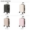 [Cecil McBee] BON VOYAGE CARRYCASES WH F