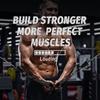 Heavy Duty D-Ring Metal Gym Handles with Hook for Cable Machine Yoga Exercise Workout Power Bands - Grip Workout Gym Equipment