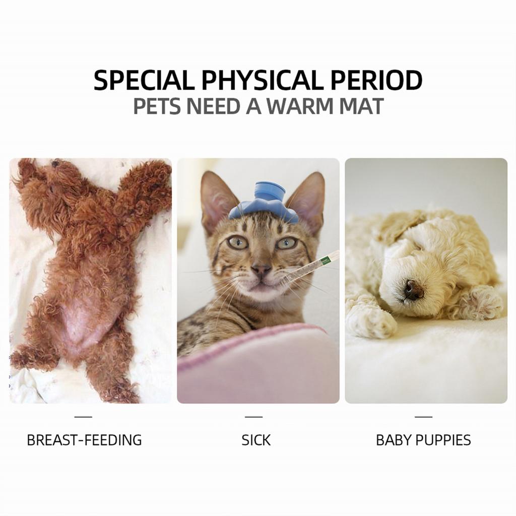 Evcil Hayvan Isıtma Pedi Köpekler Kediler Elektrikli Isıtma Matı 3 Vites Ayarı Su Geçirmez ve