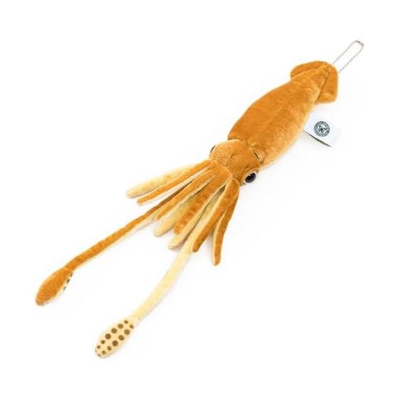 Colorata Giant Squid Plush Toy (S Size/With Ball Chain/Gentle Touch) Realistic Squid Toy Doll Gift Present Birthday (Meter Read 2 Times) / Christmas