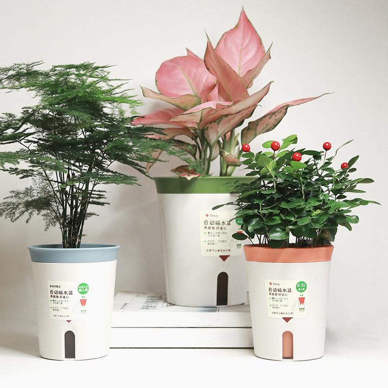 Self Watering Planters Round Self Watering Pots for Indoor Outdoor Plants Succulents Violets Automatic Moisturizing Flower Pot