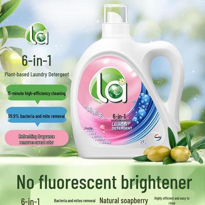 Sapindus 6-in-1 Laundry Detergent