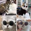 1 Stück Hunde Sonnenbrille Katze Haustier Produkt Lieblich Vintage Rund Reflexion Augenbekleidung Brille Kleiner Hund Katze Haustier Foto Requisiten Zubehör