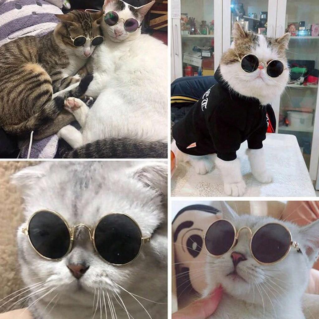 1 Stück Hunde Sonnenbrille Katze Haustier Produkt Lieblich Vintage Rund Reflexion Augenbekleidung Brille Kleiner Hund Katze Haustier Foto Requisiten Zubehör