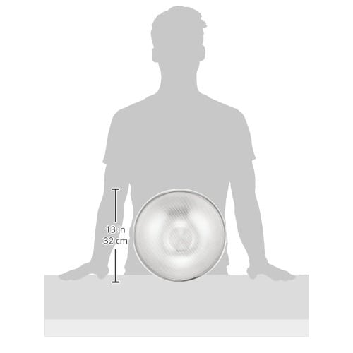 Endo Shoji TKG Bowl with Holes, 30cm, Material: 18-8 Stainless Steel, Outer Diameter (mm): 315 x Height (mm): 103, Weight: 430g, Durable and Hygienic
