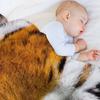 Bengal Tiger Throw Blanket Blankets For Bed Cosplay Anime Christmas Gifts Warm Blankets
