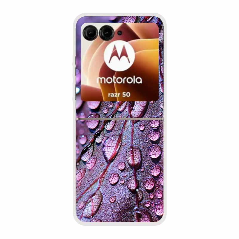 For Motorola Razr 50 Ultra Case Plastic Hard Painted Cartoon Transparent Back Cover Case for Motorola Razr 50 5G Hard PC Case 50