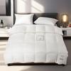 Jinsili Supreme Mulberry Silk Quilt