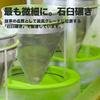 Matcha For Tea and Produced In Fukuoka Okumidori, Stone-ground, 10 Particles. Ceremonies, Practice, Lattes, Confectionery, Bread, Sweets. Yame,