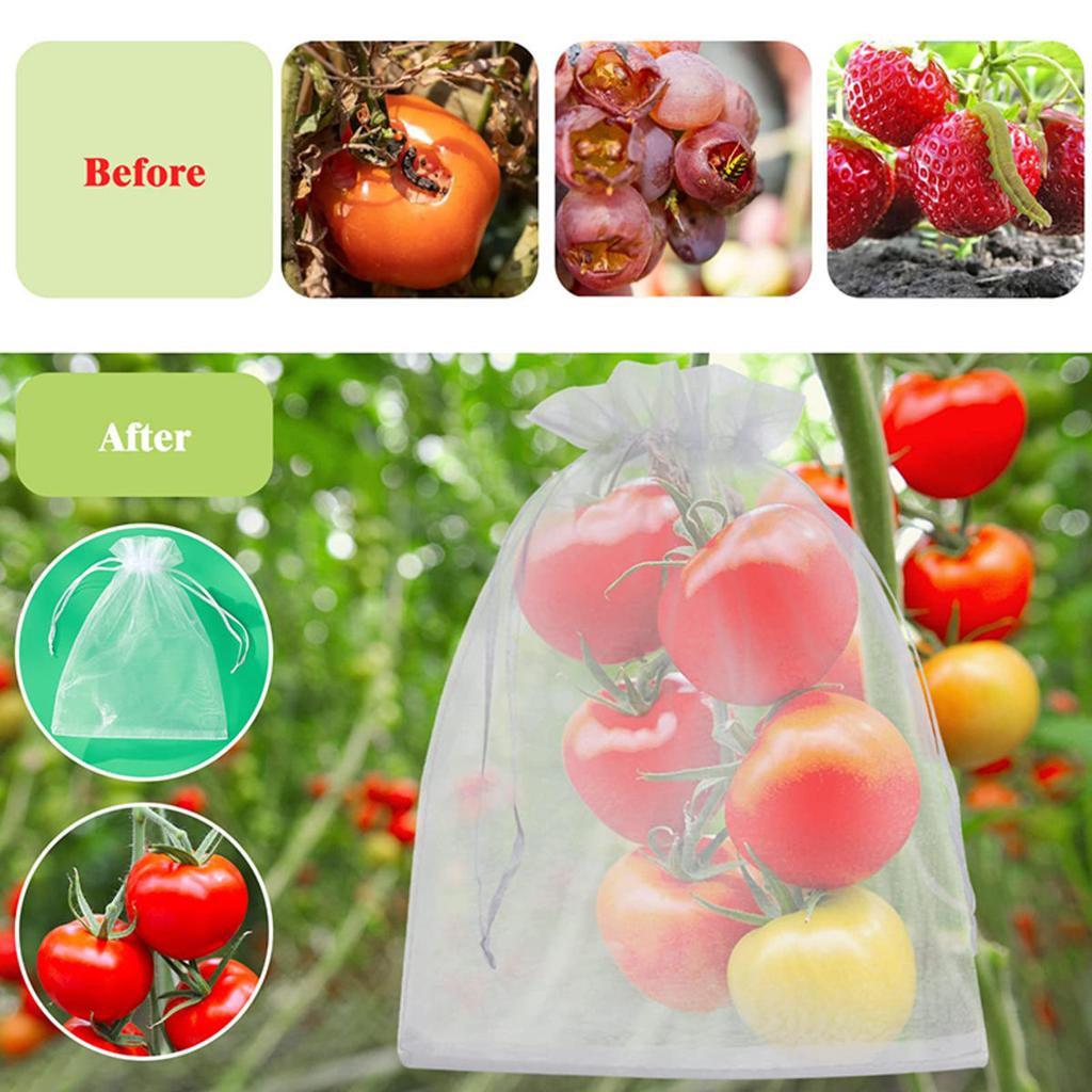 50/100Pcs Fruit Protection Netting Bags with Drawstring Reusable Grape Grow Bags Strawberry Cover Mesh Bags for Pest Control