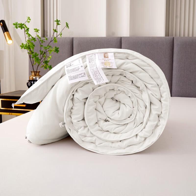 Muxinzi Brushed Silk Summer Quilt