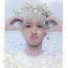 [USED] WayV Seagreen WayV Yang Yang Interasia Hologram Trading Card