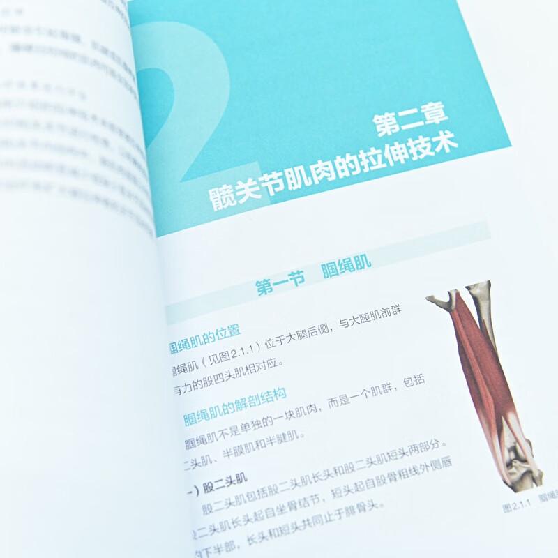 Illustrated Guide To Lower Limb Muscle Stretching
