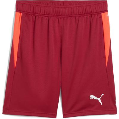 Puma Shorts Individual Training