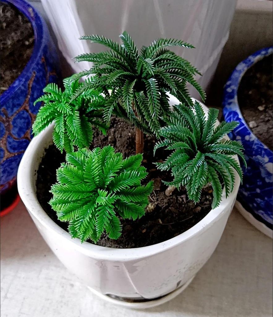 Model Trees for Miniature 36 Trees Palm HO Gauge Railway Architectural Miniature Diorama Gardens, Dioramas, Etc. (3-16 Cm) - Trees, Model, Landscape,