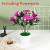 Zantedeschia Aethiopica Simulates Potted Plant Artificial Flower Decoration