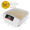 56 Eggs Digital Intelligent Auto Incubator 80W Temperature Control Digital Poultry Hatcher Fully Automatic Home Hatching